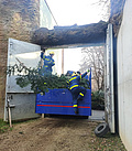 Das Tannengrün und Nadelholz wurde von den Helfern abgeladen und zu den Elefanten gebracht (Foto: THW Pirna)