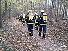 Gemeinsam mit den Kameraden der Feuerwehr im Wald (Fotograf: THW Pirna)