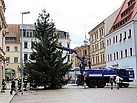 Der Pirnaer Weihnachtsbaum steht (Foto: THW Dresden)
