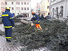 Der Pirnaer Weihnachtsbaum wird zu Brennholz verarbeitet (Fotograf: THW Pirna)
