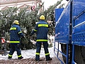 Der Weihnachtsbaum 2012 ist niedergelegt (Fotograf: THW Pirna)