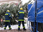 Der Weihnachtsbaum 2012 ist niedergelegt (Fotograf: THW Pirna)