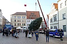 Die Ankunft der Blautanne in Pirna wurde durch eine Vielzahl von Zuschauern verfolgt  (Foto: Susan Schmidt)