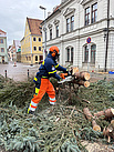 Abbau Weihnachtsbäume in Dresden und Pirna (Foto: THW OV Pirna)