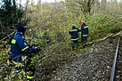 Umgestürzte Bäume versperren die Bahnstrecke (Fotograf: THW Pirna)