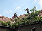 Beräumung des Daches II (Foto: Torsten Matthes)