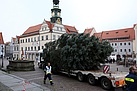 Der Weihnachtsbaum erreicht den Pirnaer Markt (Fotograf: Daniel Förster)
