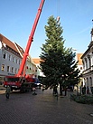 Der Baum auf dem Marktplatz (Foto: THW Pirna)