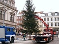 Abbau des Weihnachtsbaumes