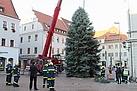 Die letzten Ausrichtungsarbeiten erfolgen – dann kann der Baum für den Canalettomarkt  fest gemacht werden und in seine Bestimmung übergehen  (Foto: Susan Schmidt)