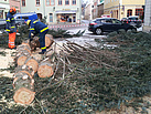 Der Baumstamm wurde in transportable Stücke geschnitten (Fotograf: THW Pirna)