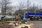 Abbau Weihnachtsbäume in Dresden und Pirna (Foto: THW OV Pirna)