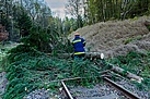 Zerkleinern eines umgestürzten Baumes auf den Gleisen (Fotograf: THW Pirna)