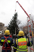 Einsatzkräfte des THW Pirna beobachten das Aufstellen des Baumes für den Dresdner Augustusmarkt (Fotograf: THW Pirna)