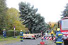 Das THW Pirna stellte in 2023 wieder zwei Weihnachtsbäume auf  (Foto: Susan Schmidt)